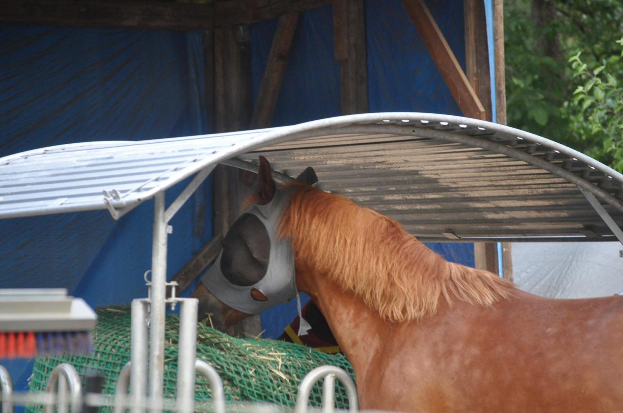 Affittacamere Kuehns Muehle 3*